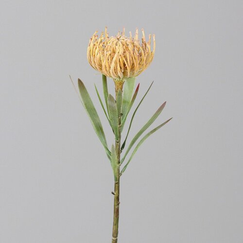 Ego Dekor Umetna rastlina (vi&scaron;ina 43 cm) Protea &ndash; Cene