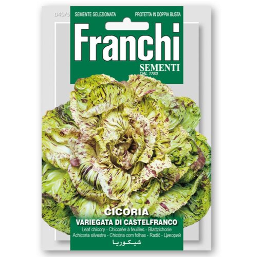 FRANCHI SEMENTI listna zelenjava radič castelfranco. Cene