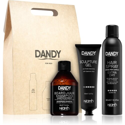 DANDY Styling gift set darilni set za moške Cene