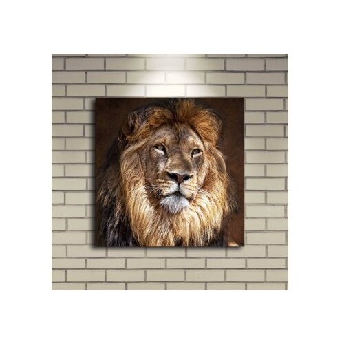 Wallity Slika na platnu sa LED osvetljenjem 40x40cm Slike
