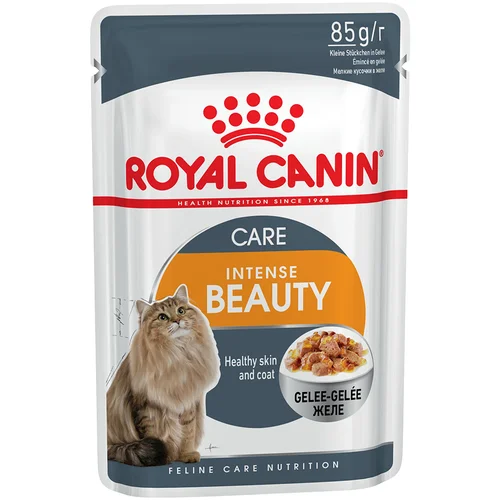 Royal Canin Hair & Skin Care - Kot dopolnilo: 12 x 85 g Intense Beauty v želeju