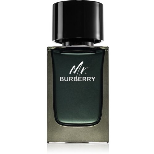 Burberry Mr. parfumska voda za moške 100 ml Cene