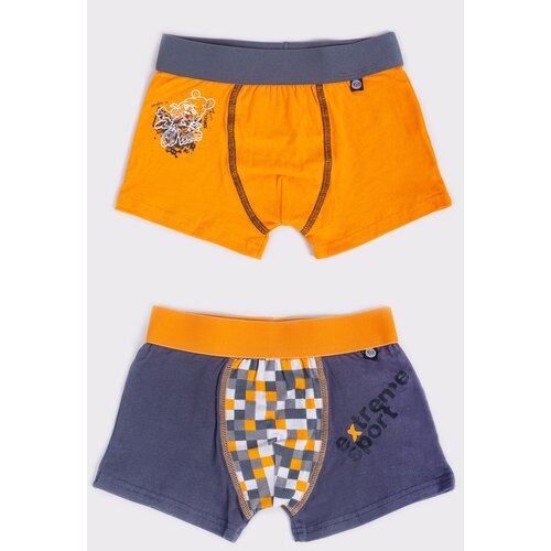 Yoclub Kids&amp;#039;s 2Pack Boy&amp;#039;s Boxer Briefs BMB-0014C-AA30 Slike