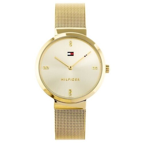 Tommy Hilfiger Analogne ure ty155650 Pozlačena Cene