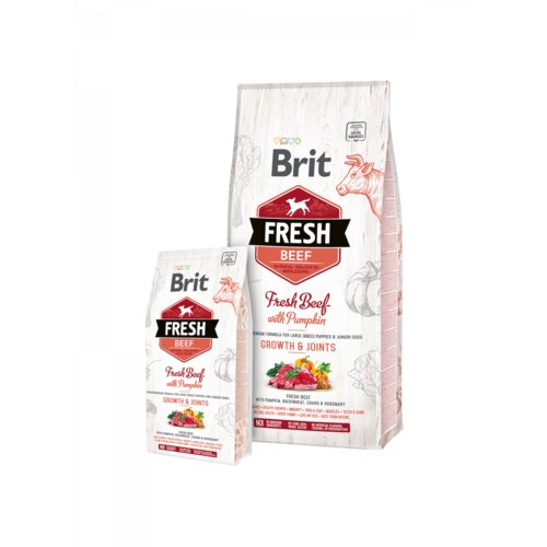 Brit Fresh Beef with Pumpkin Puppy Large 12kg Slike