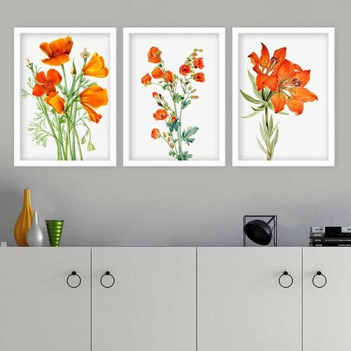 Wallity Set uramljenih slika 3BC_12613512, 3 Dela Cene