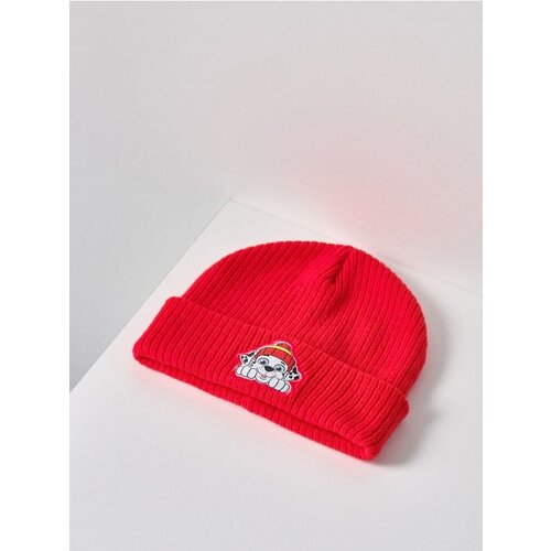 Sinsay Kapa beanie PAW Patrol Cijene