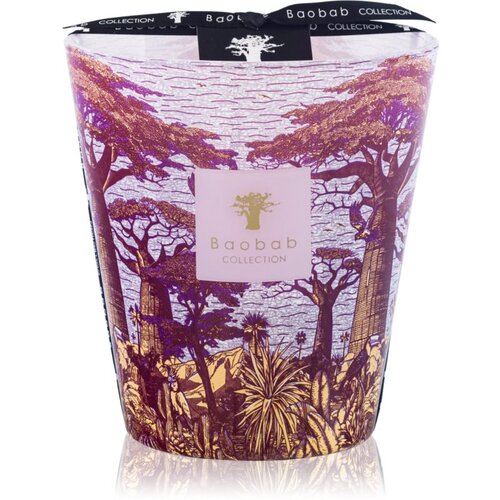 Baobab Collection Sacred Trees Massasso dišeča sveča 16 cm Cene