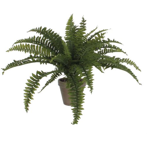 MICA Umjetna biljka Scindapsus (Visina: 80 cm, Zelene boje, Plastika) Slike