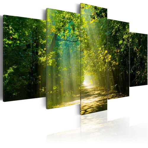  Slika - Sunshine Road 100x50 Slike