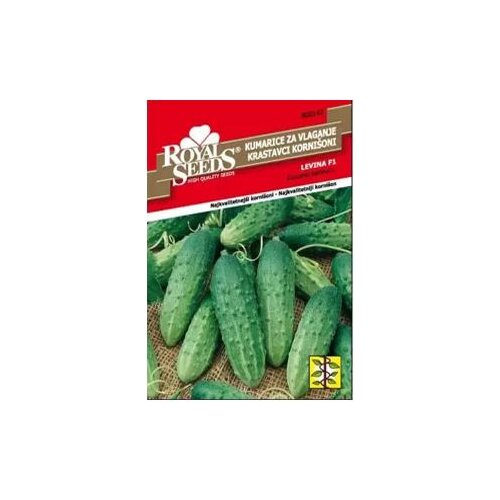  Krastavac Levina Royal Seeds Cene