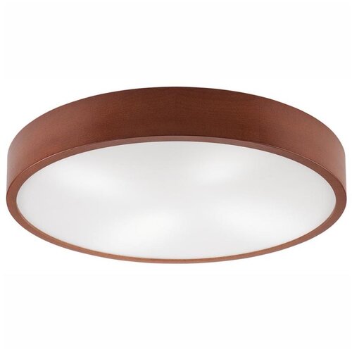  plafonsko svetlo natural 4xE27/60W/230V, prečnik 57,5 cm, borovina/smeđa Cene