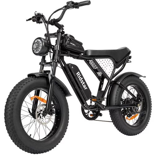 Ridstar Q20 Lite električno kolo za odrasle 1000 W motor 48 V 15 AH odstranljiva baterija Fat Tire Dirt Bike, (21215171)