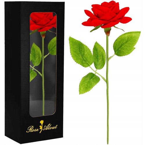 springos VEČNA ROSE RED BOX DARILO LIKE VIVA ZA ROJSTNI DAN DAN ŽENA, (21630256) Cene
