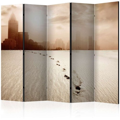  Paravan u 5 dijelova - A path to a big city II [Room Dividers] 225x172 Slike