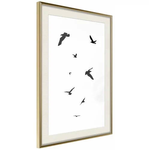  Poster - Birds 40x60
