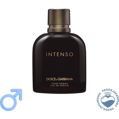 Dolce & Gabbana Pour Homme Intenso - 125ml Cijene