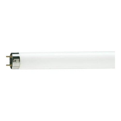 Philips tl-d 36w/54-765 928048505422 fluo cev ( 18032 ) Cene