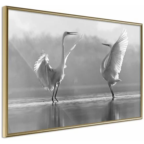  Poster - Black and White Herons 90x60