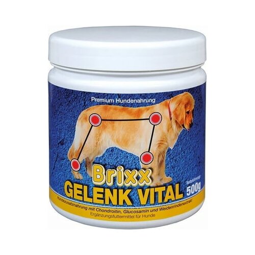 Brixx Gelenk Vital Cene