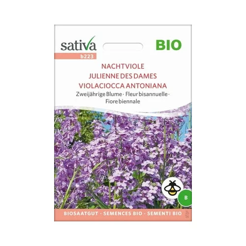 Sativa Bio dvoletna cvetlica "nočna vijolica"