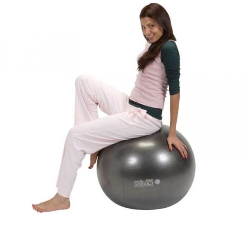  Žoga za vadbo Gymnic Plus temno siva 65cm Cene