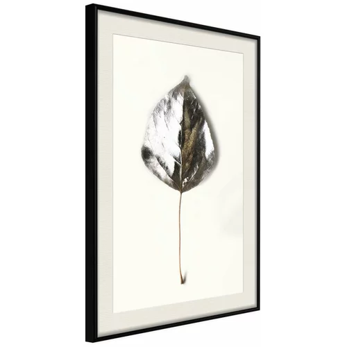  Poster - Silvery Leaf 20x30