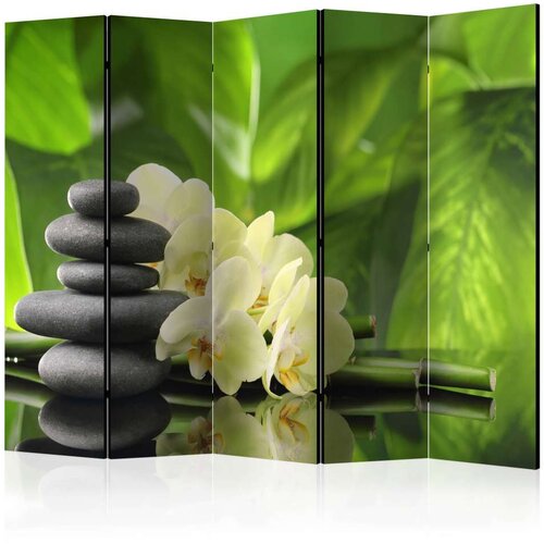  Paravan u 5 dijelova - Spa Garden II [Room Dividers] 225x172 Cijene