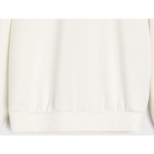 Sinsay Glatka bluza s dugim rukavima soft touch Slike