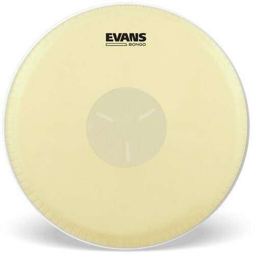 Evans EB09 9-5/08 koža za bongo Slike