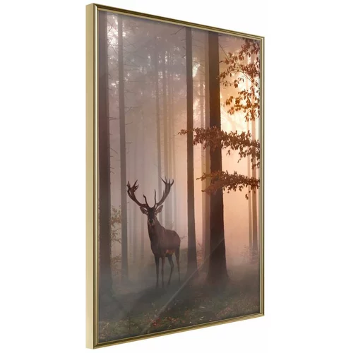  Poster - Forest Seclusion 40x60