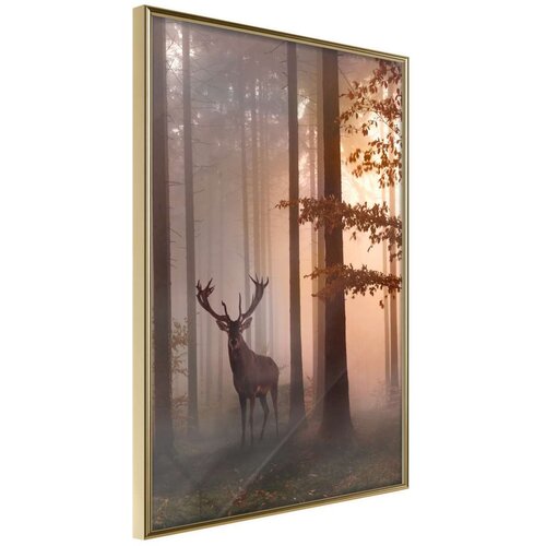  Poster - Forest Seclusion 40x60 Cene