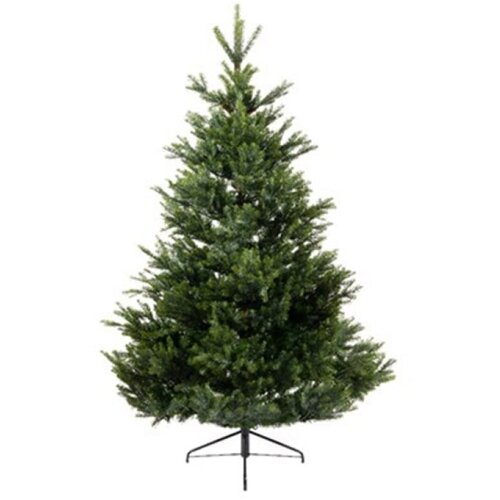  Novogodi&scaron;nja jelka Arlberg fir 180cm-127cm Everlands 68.4381 Cene