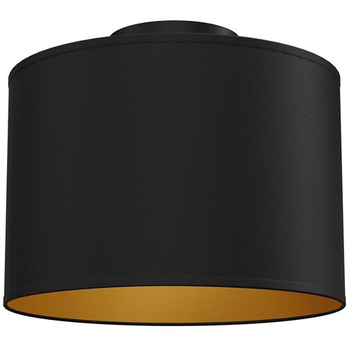  plafonsko svetlo arden 1xE27/15W/230V, prečnik 25 cm, crno Cene