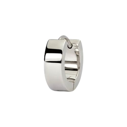  Muške naušnice 2Jewels 261436 Cene