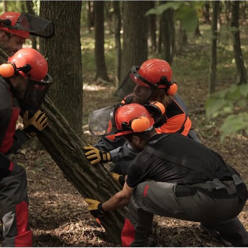  za&amp;scaron;titne Protiv prosecanja Logger sive Slike