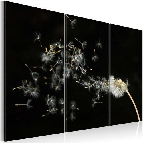  Slika - Dandelions- the transience 60x40 Slike
