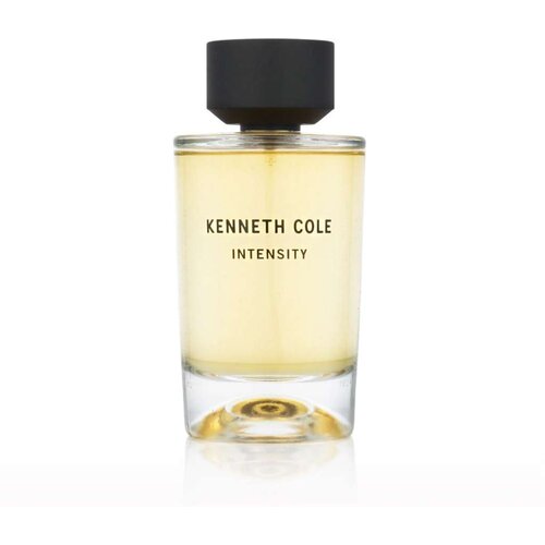 Parfem Intensity 100 ml toaletna voda unisex Slike