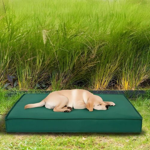Eva Jasuk za pse Eva Garden Dog XL, 95x75 cm, Zeleni Cijene