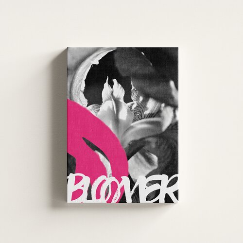  Bloomer – premium štampa - između bunta i latica Cene