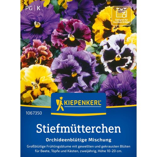 KIEPENKERL Vijolica "orhidejsko cvetoča mešanica" - 1 pkt. Cene