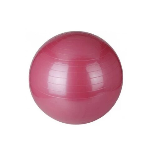 Capriolo sport-fitnes lopta 65 capr pin 291358-P Slike
