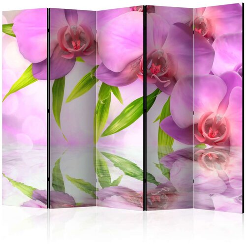  Paravan u 5 dijelova - Orchid Spa II [Room Dividers] 225x172 Cijene