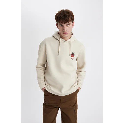 Defacto Comfort Fit Hooded Sweatshirt