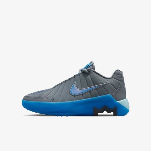Nike lebron witness ix gs Slike