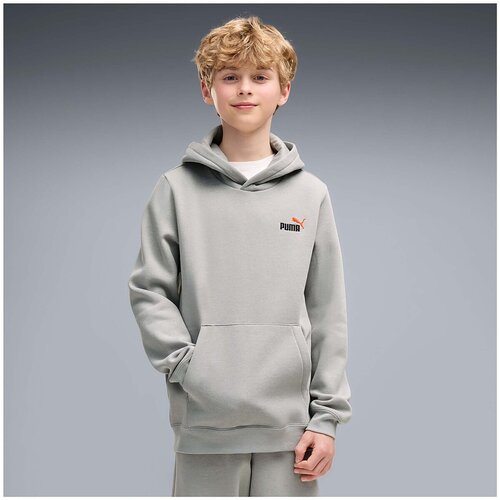 Puma Flis Ess 2 Color Small No. 1 Logo Hoodie Fl B Siva Cene