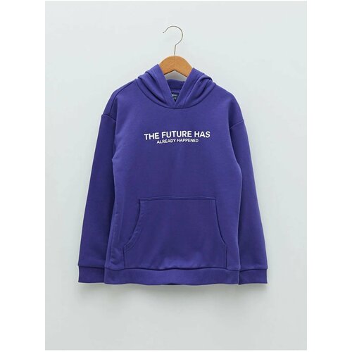 LC Waikiki Sweatshirt - Purple - Regular fit Cene