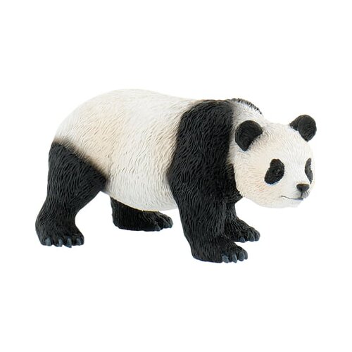  Safari - Panda Slike