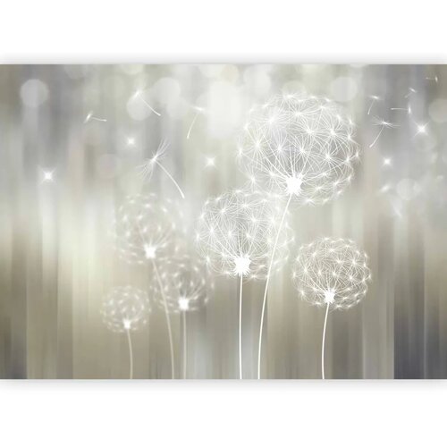  Foto tapeta - Gift of the Sun 500x350 Slike