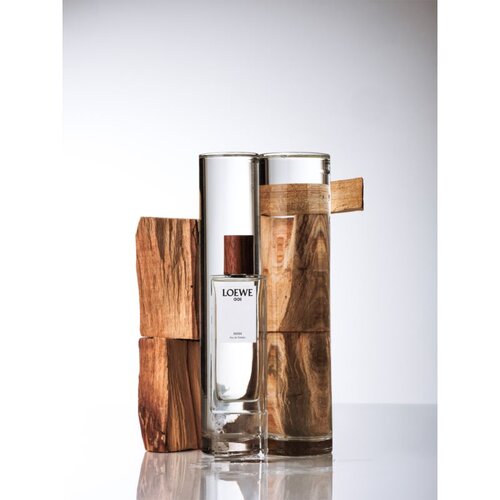 Loewe 001 Man toaletna voda za muškarce 100 ml Cijene